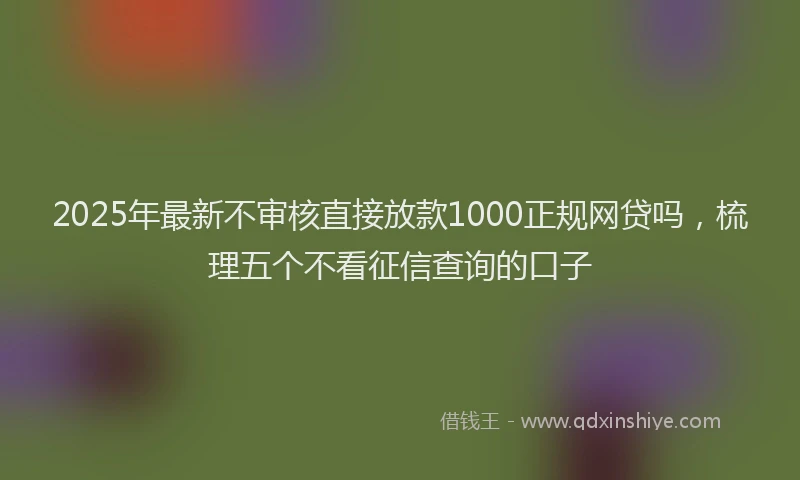 2025年最新不审核直接放款1000正规网贷吗，梳理五个不看征信查询的口子