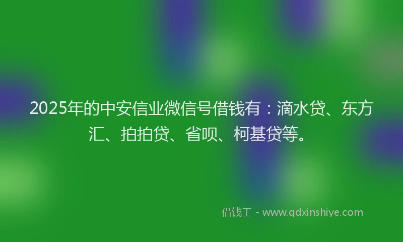 2025年的中安信业微信号借钱有：滴水贷、东方汇、拍拍贷、省呗、柯基贷等。