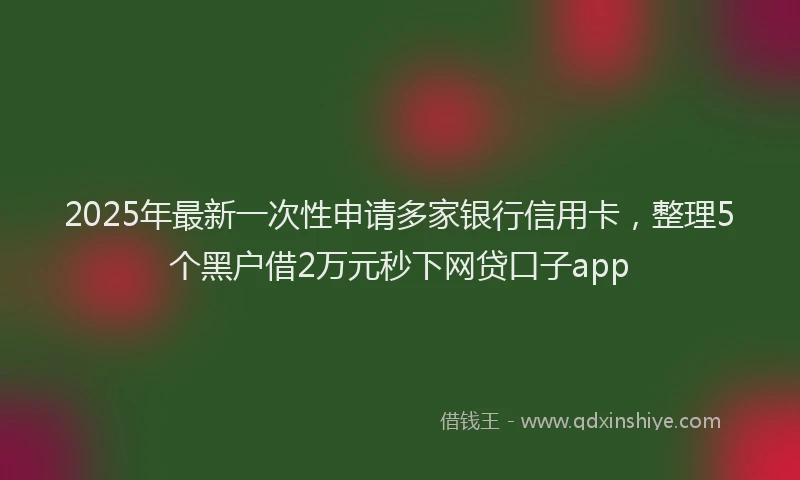 2025年最新一次性申请多家银行信用卡，整理5个黑户借2万元秒下网贷口子app