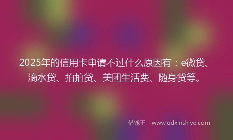 2025年的信用卡申请不过什么原因有：e微贷、滴水贷、拍拍贷、美团生活费、随身贷等。
