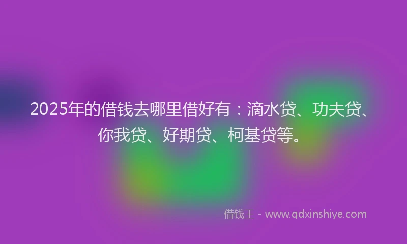 2025年的借钱去哪里借好有：滴水贷、功夫贷、你我贷、好期贷、柯基贷等。