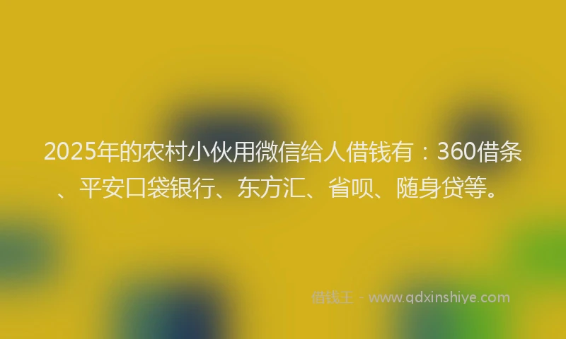 2025年的农村小伙用微信给人借钱有：360借条、平安口袋银行、东方汇、省呗、随身贷等。