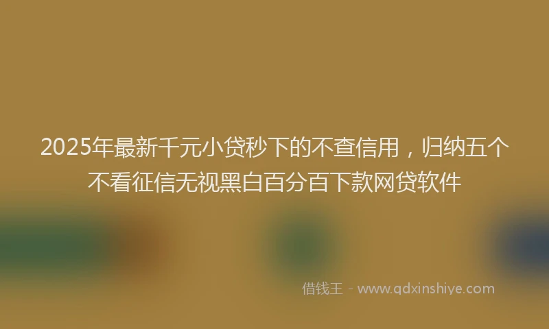 2025年最新千元小贷秒下的不查信用，归纳五个不看征信无视黑白百分百下款网贷软件