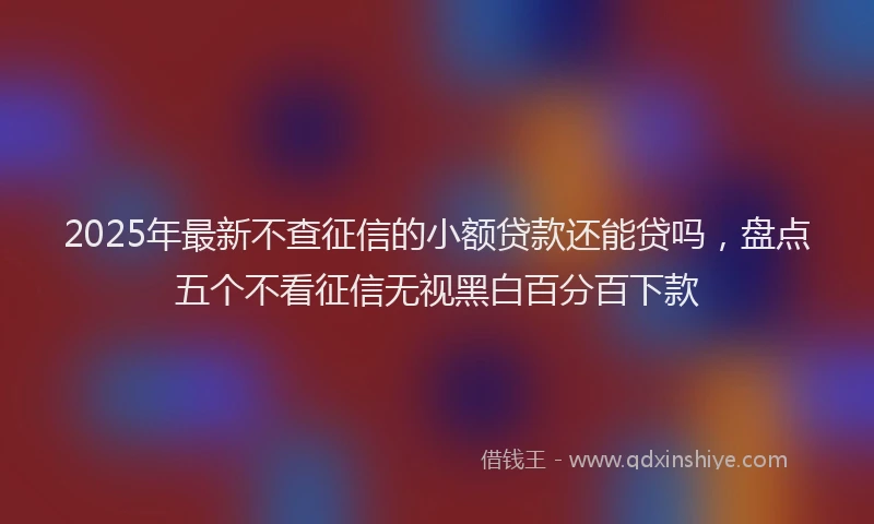 2025年最新不查征信的小额贷款还能贷吗，盘点五个不看征信无视黑白百分百下款