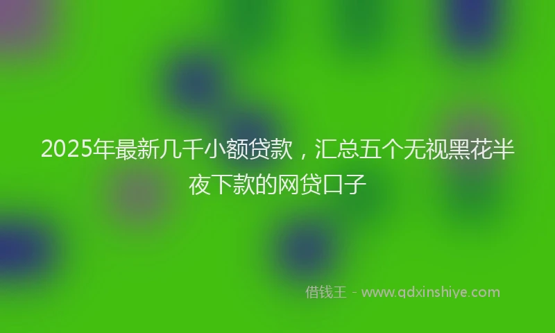 2025年最新几千小额贷款，汇总五个无视黑花半夜下款的网贷口子
