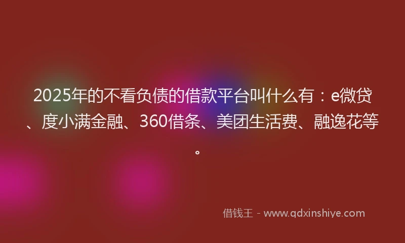 2025年的不看负债的借款平台叫什么有：e微贷、度小满金融、360借条、美团生活费、融逸花等。