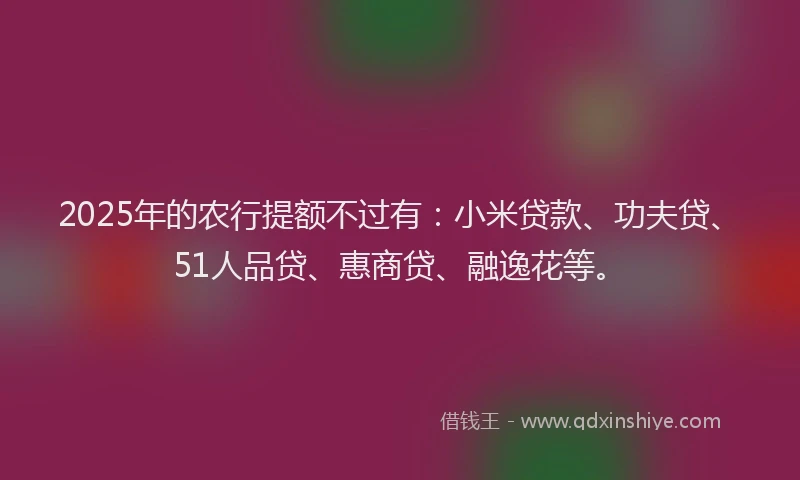 2025年的农行提额不过有：小米贷款、功夫贷、51人品贷、惠商贷、融逸花等。