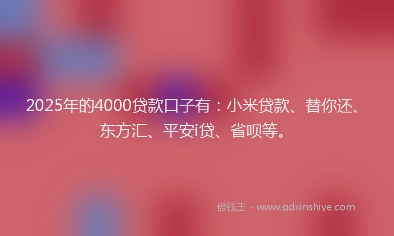 2025年的4000贷款口子有：小米贷款、替你还、东方汇、平安i贷、省呗等。