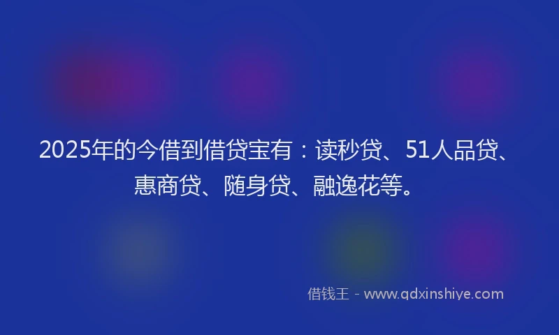 2025年的今借到借贷宝有：读秒贷、51人品贷、惠商贷、随身贷、融逸花等。