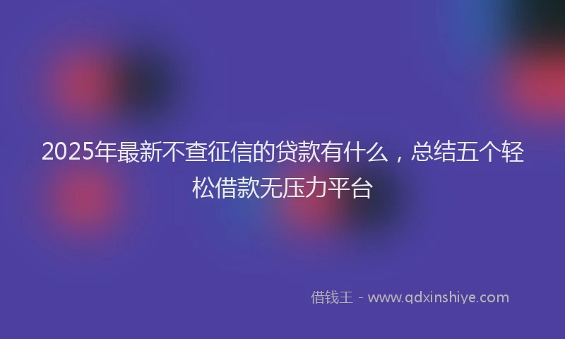 2025年最新不查征信的贷款有什么，总结五个轻松借款无压力平台