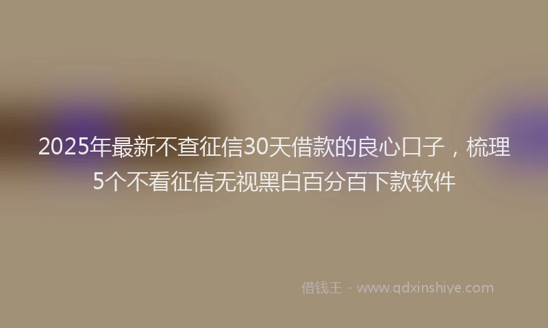 2025年最新不查征信30天借款的良心口子，梳理5个不看征信无视黑白百分百下款软件
