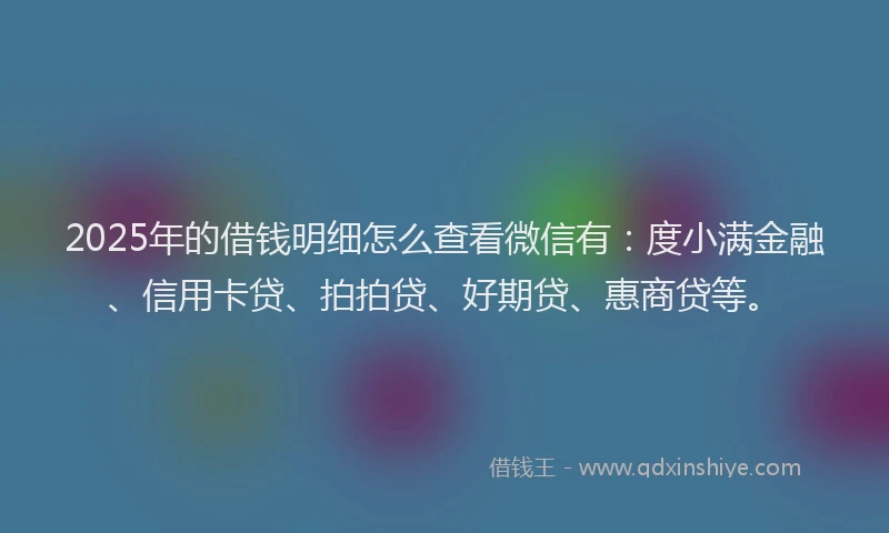 2025年的借钱明细怎么查看微信有：度小满金融、信用卡贷、拍拍贷、好期贷、惠商贷等。