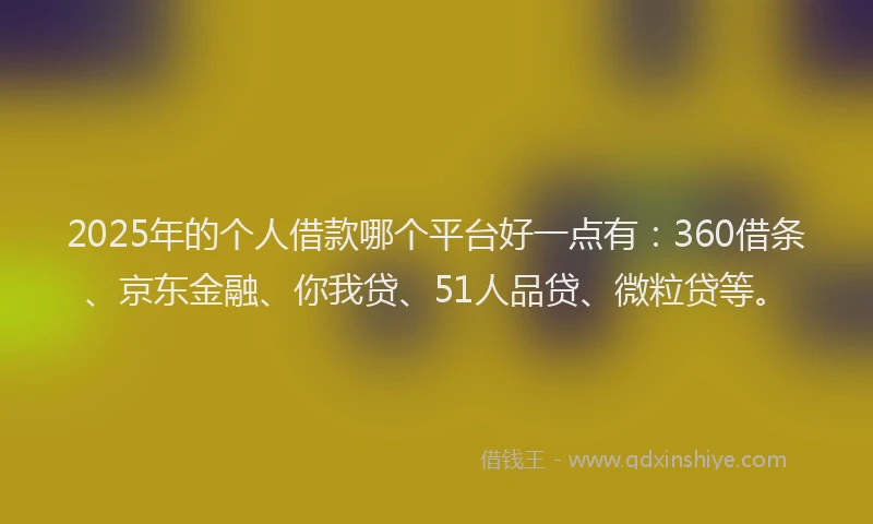 2025年的个人借款哪个平台好一点有：360借条、京东金融、你我贷、51人品贷、微粒贷等。