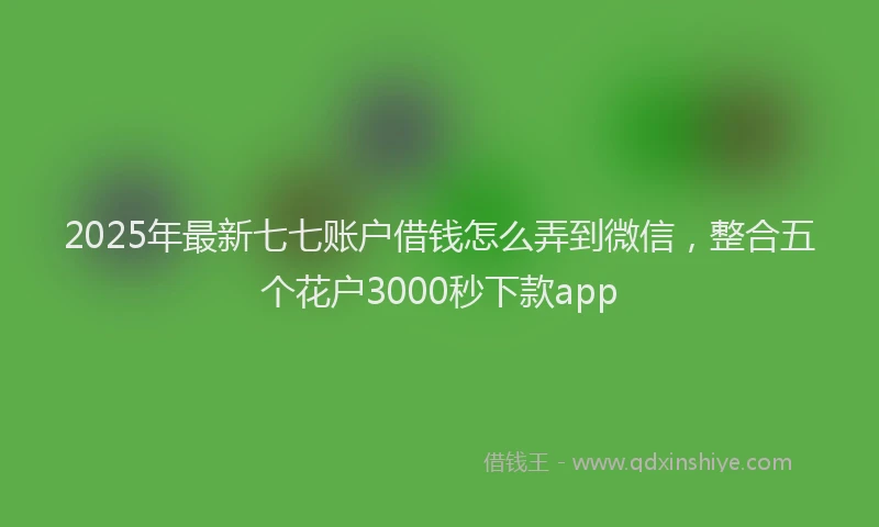 2025年最新七七账户借钱怎么弄到微信，整合五个花户3000秒下款app