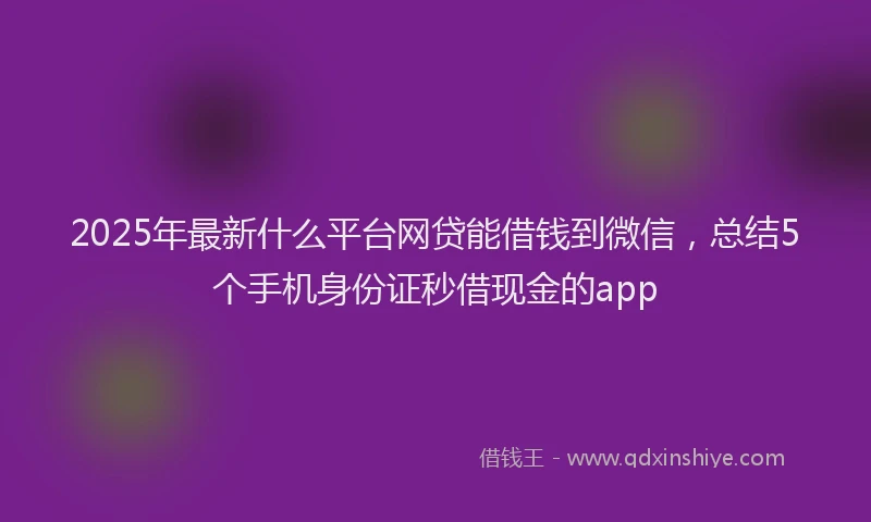 2025年最新什么平台网贷能借钱到微信，总结5个手机身份证秒借现金的app