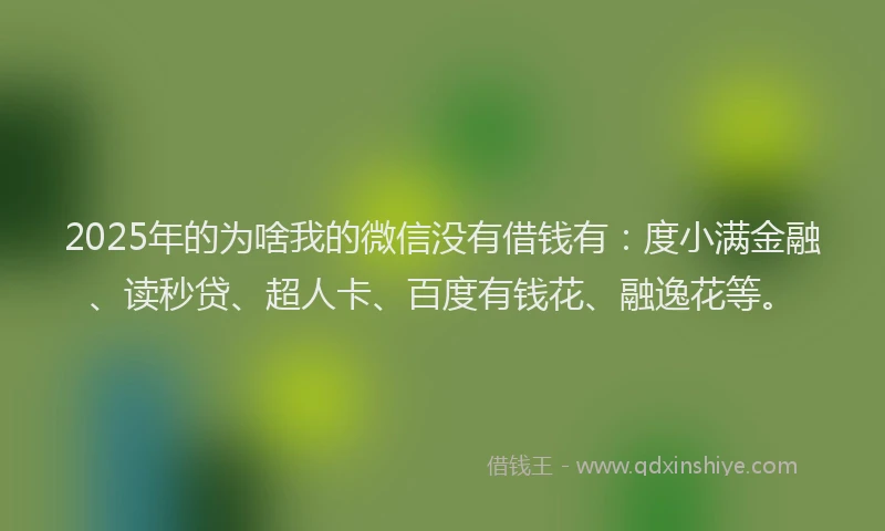 2025年的为啥我的微信没有借钱有：度小满金融、读秒贷、超人卡、百度有钱花、融逸花等。