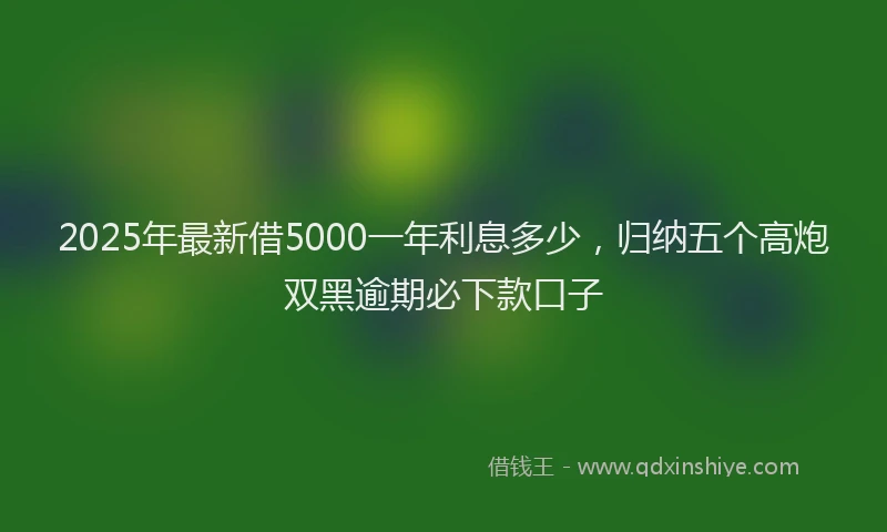 2025年最新借5000一年利息多少，归纳五个高炮双黑逾期必下款口子