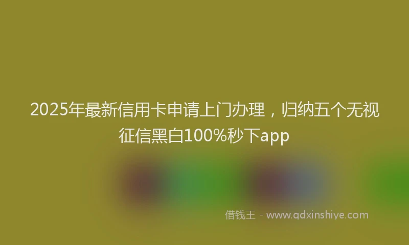 2025年最新信用卡申请上门办理，归纳五个无视征信黑白100%秒下app