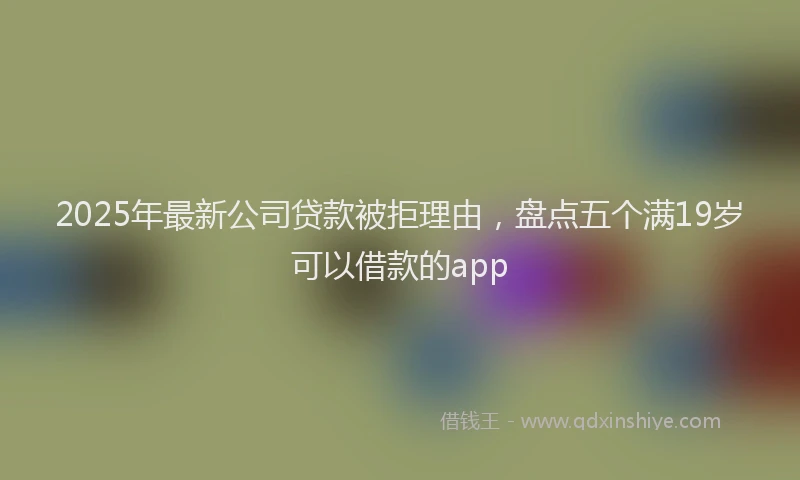 2025年最新公司贷款被拒理由，盘点五个满19岁可以借款的app