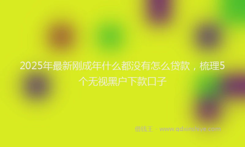 2025年最新刚成年什么都没有怎么贷款，梳理5个无视黑户下款口子