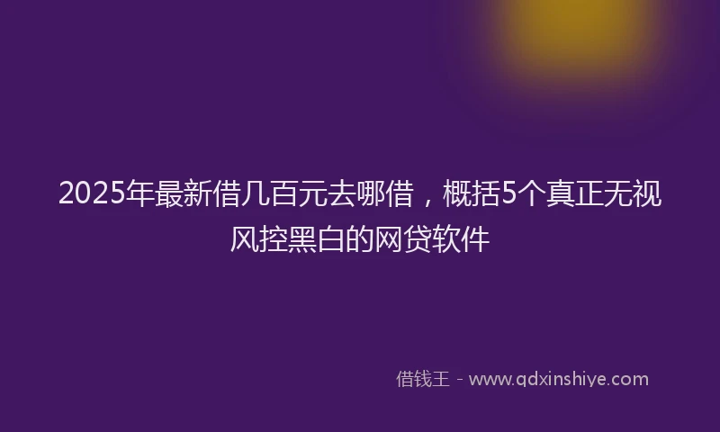 2025年最新借几百元去哪借，概括5个真正无视风控黑白的网贷软件