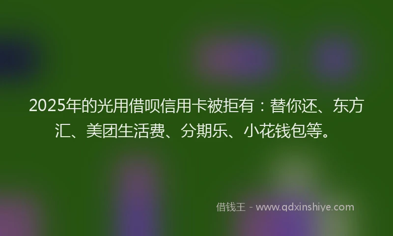 2025年的光用借呗信用卡被拒有：替你还、东方汇、美团生活费、分期乐、小花钱包等。