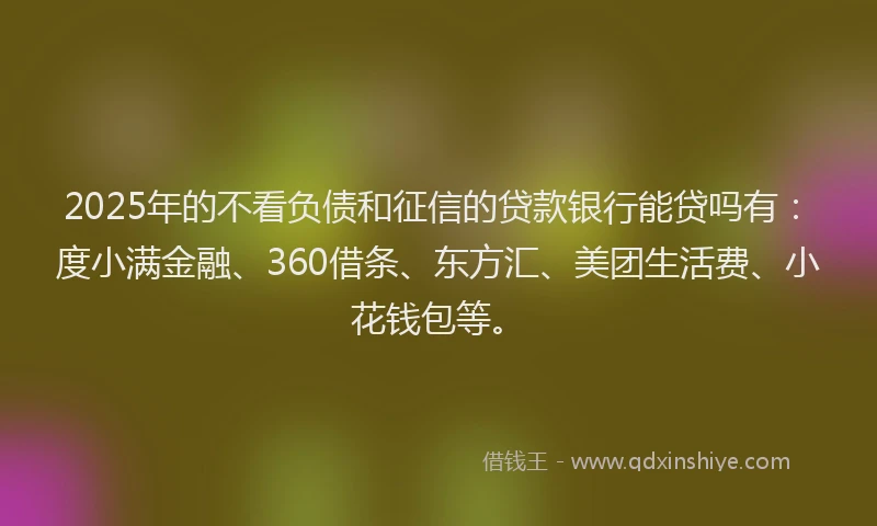 2025年的不看负债和征信的贷款银行能贷吗有：度小满金融、360借条、东方汇、美团生活费、小花钱包等。