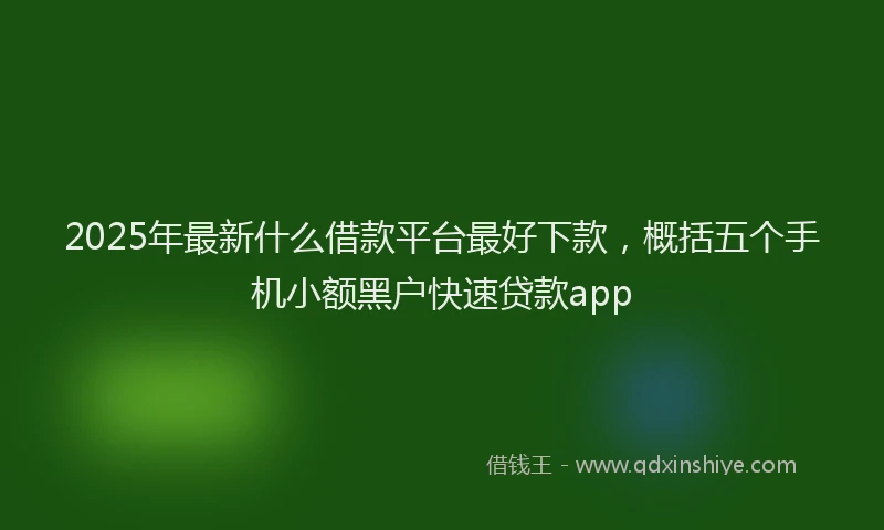2025年最新什么借款平台最好下款，概括五个手机小额黑户快速贷款app