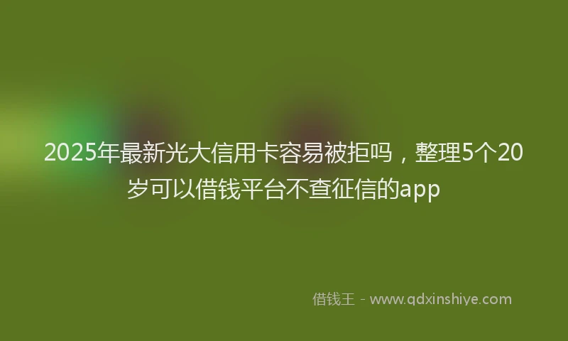 2025年最新光大信用卡容易被拒吗，整理5个20岁可以借钱平台不查征信的app