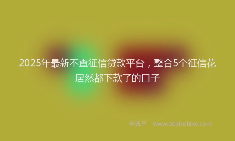 2025年最新不查征信贷款平台，整合5个征信花居然都下款了的口子