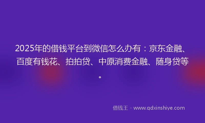 2025年的借钱平台到微信怎么办有：京东金融、百度有钱花、拍拍贷、中原消费金融、随身贷等。