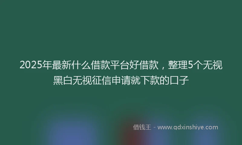2025年最新什么借款平台好借款，整理5个无视黑白无视征信申请就下款的口子