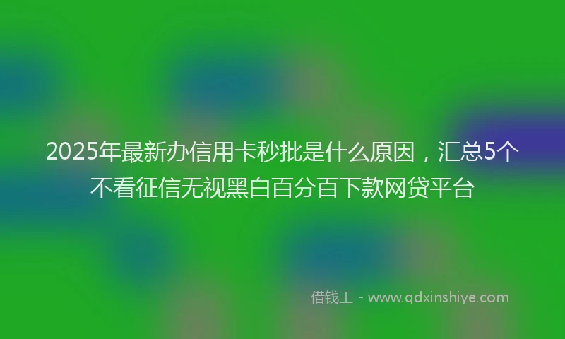 2025年最新办信用卡秒批是什么原因，汇总5个不看征信无视黑白百分百下款网贷平台