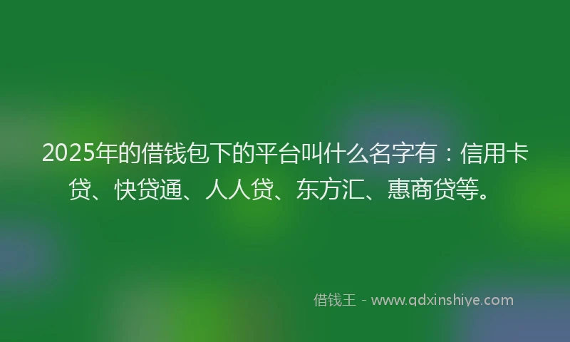 2025年的借钱包下的平台叫什么名字有：信用卡贷、快贷通、人人贷、东方汇、惠商贷等。