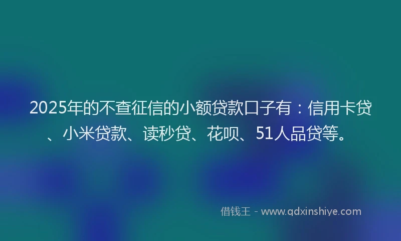 2025年的不查征信的小额贷款口子有：信用卡贷、小米贷款、读秒贷、花呗、51人品贷等。