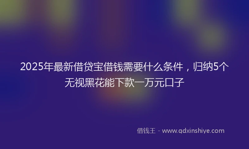 2025年最新借贷宝借钱需要什么条件，归纳5个无视黑花能下款一万元口子