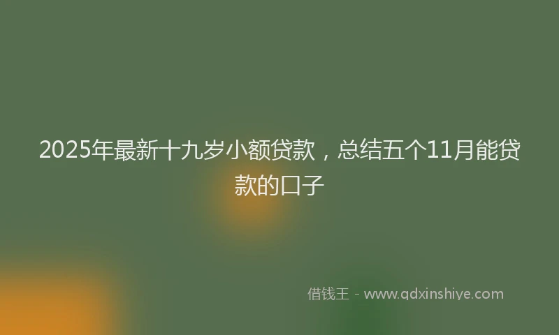 2025年最新十九岁小额贷款，总结五个11月能贷款的口子