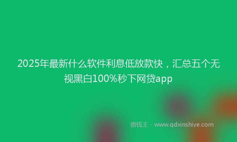 2025年最新什么软件利息低放款快，汇总五个无视黑白100%秒下网贷app