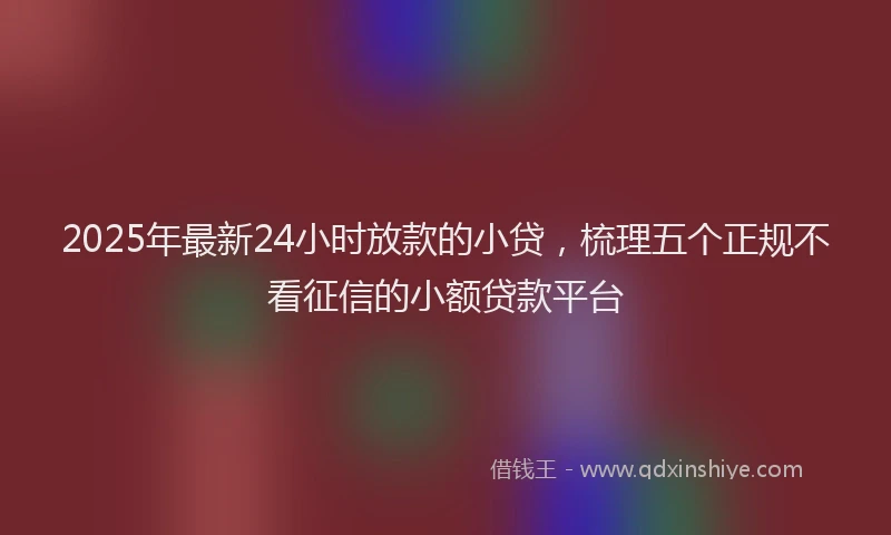 2025年最新24小时放款的小贷，梳理五个正规不看征信的小额贷款平台