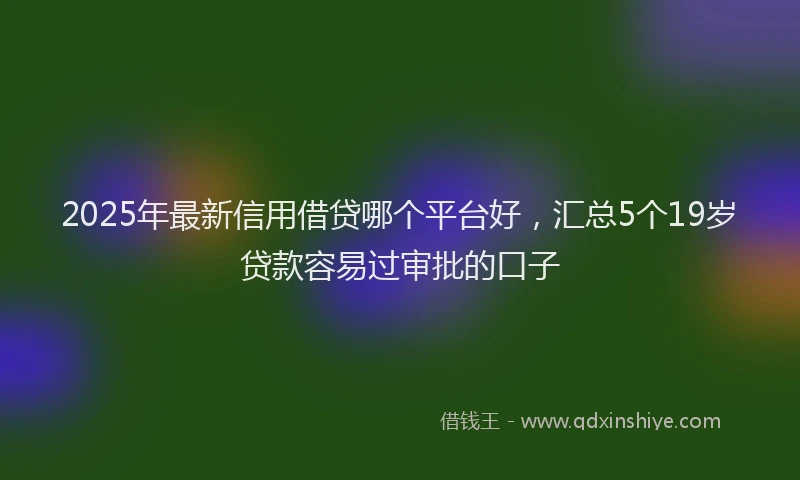 2025年最新信用借贷哪个平台好，汇总5个19岁贷款容易过审批的口子