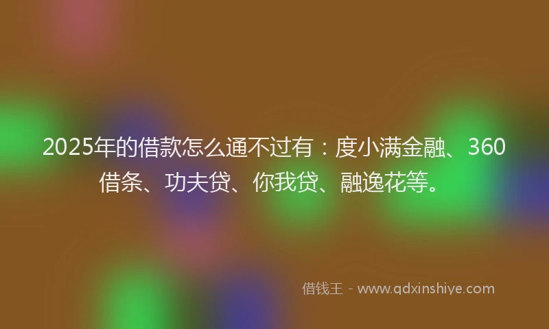 2025年的借款怎么通不过有：度小满金融、360借条、功夫贷、你我贷、融逸花等。