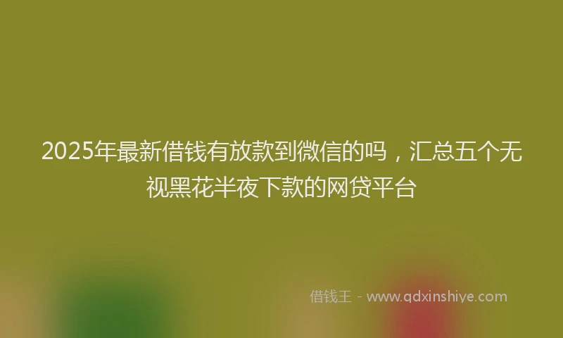 2025年最新借钱有放款到微信的吗，汇总五个无视黑花半夜下款的网贷平台