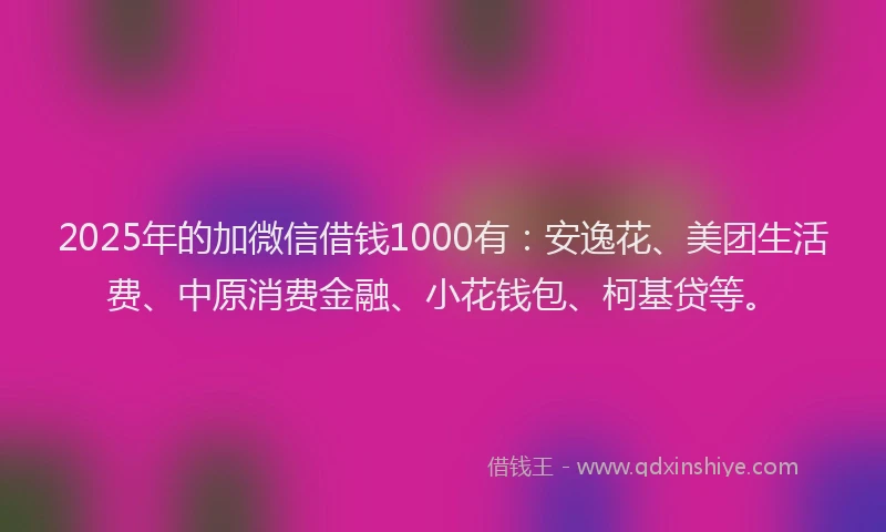 2025年的加微信借钱1000有：安逸花、美团生活费、中原消费金融、小花钱包、柯基贷等。