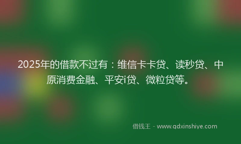 2025年的借款不过有：维信卡卡贷、读秒贷、中原消费金融、平安i贷、微粒贷等。