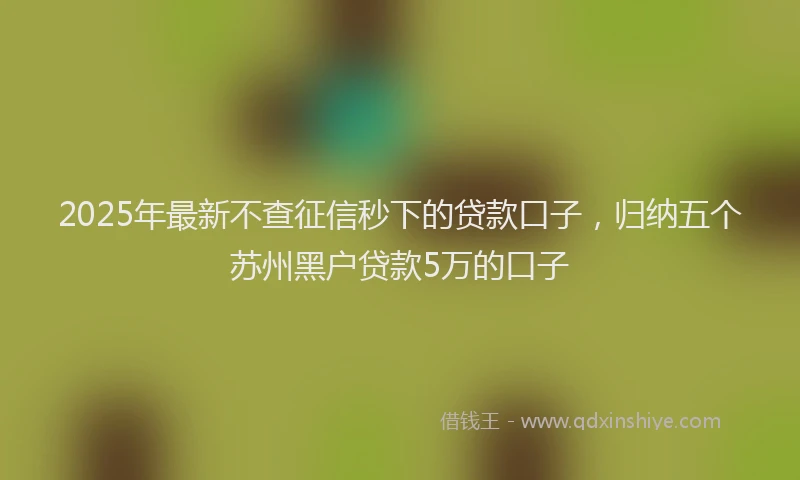 2025年最新不查征信秒下的贷款口子，归纳五个苏州黑户贷款5万的口子