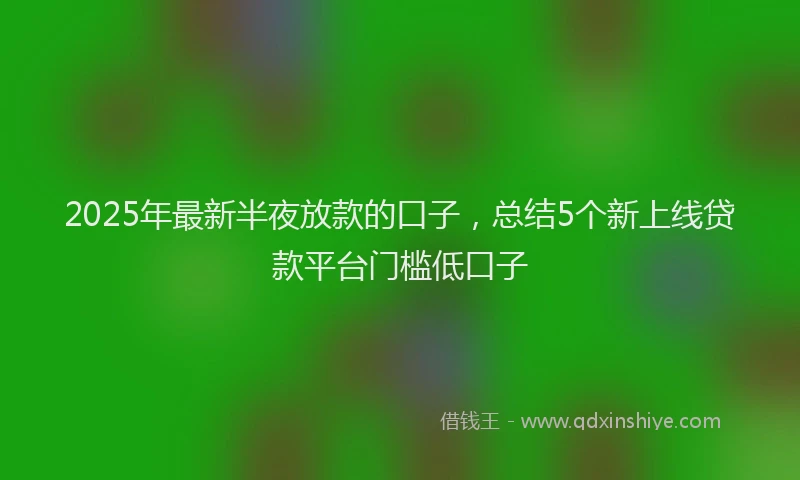 2025年最新半夜放款的口子，总结5个新上线贷款平台门槛低口子