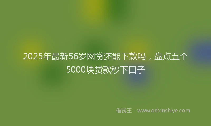 2025年最新56岁网贷还能下款吗，盘点五个5000块贷款秒下口子