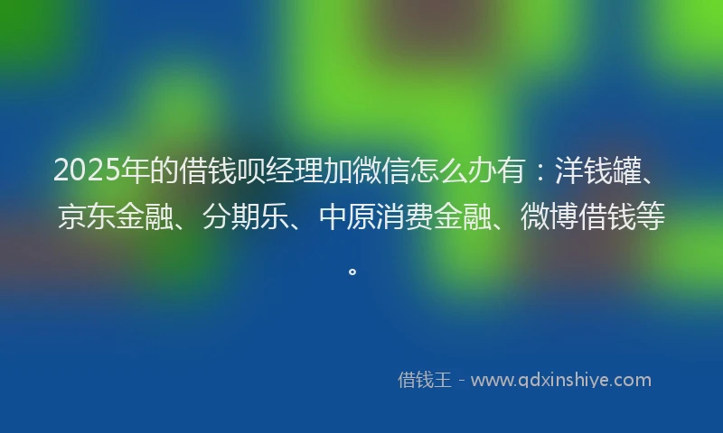 2025年的借钱呗经理加微信怎么办有：洋钱罐、京东金融、分期乐、中原消费金融、微博借钱等。