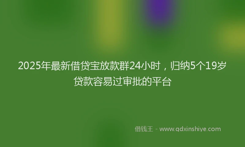2025年最新借贷宝放款群24小时，归纳5个19岁贷款容易过审批的平台
