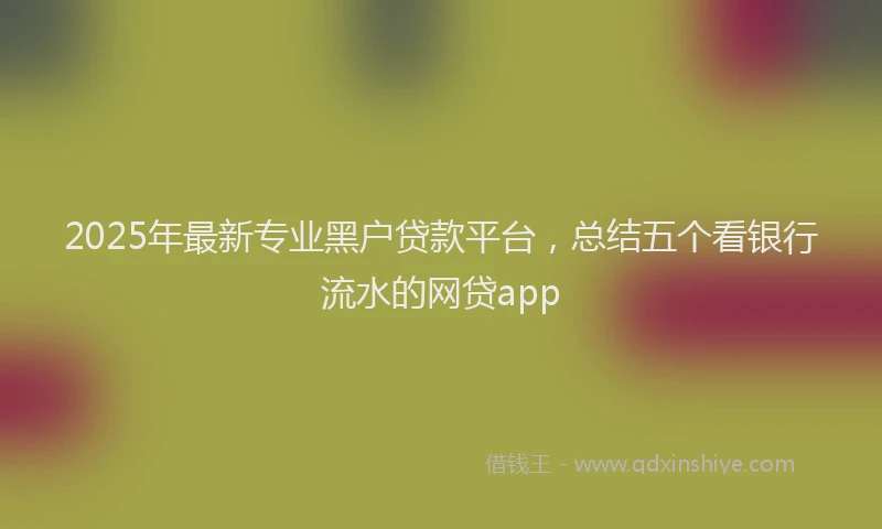 2025年最新专业黑户贷款平台，总结五个看银行流水的网贷app